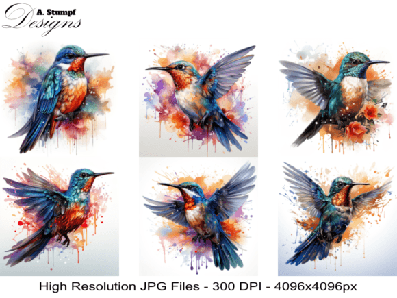 Elevate Your Projects with Dynamic Hummingbird Art
