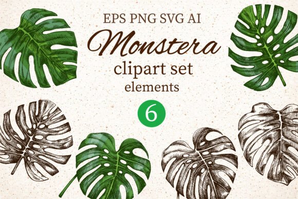 Monstera Clipart Set Elements: Elevate Your Designs with Botanical Elegance