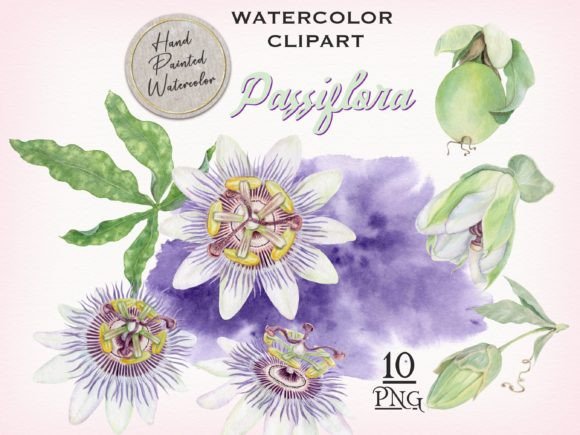 Passion Flower Watercolor Clipart: Elevate Your Designs