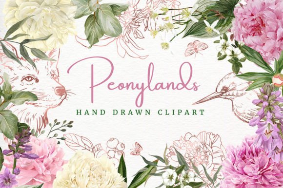 Peony Land: Hand Drawn Clipart for Elegant Floral Design