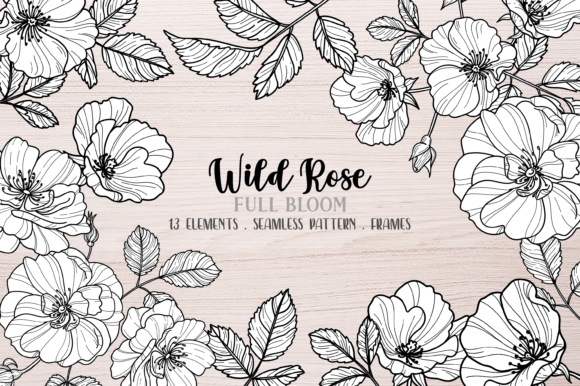 Vector Wild Rose Clipart: Elevate Your Designs with Botanical Elegance