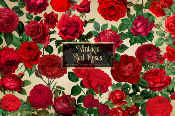 Vintage Red Roses Clipart: Elegant Embellishments for Designers