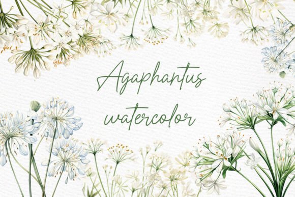 White Wild Flowers Clipart Watercolor: A Designer's Guide